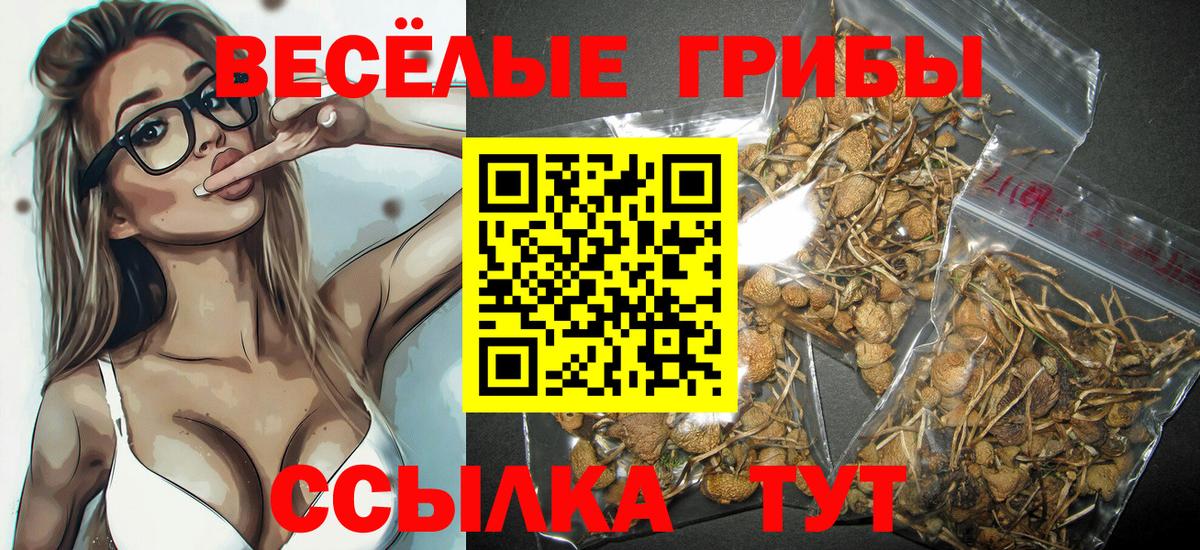 Галлюциногенные грибы мицелий  Вход с VPN  Псилоцибиновые грибы ЛСД  Красноперекопск 